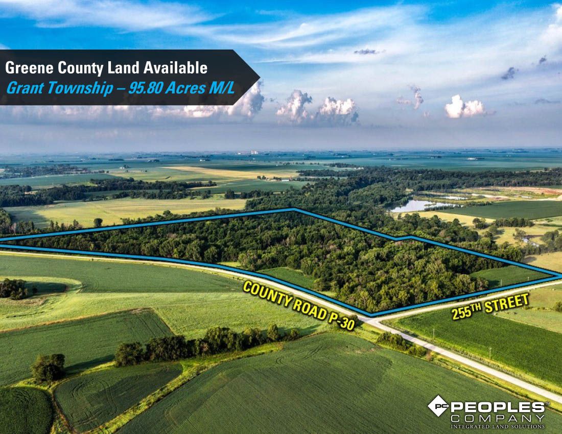 Listing Photo: Greene-Co-Recreational-Land-Available-95-Acres-19559 (1)